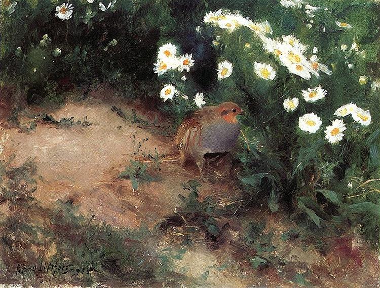 Partridge with Daisies, bruno liljefors